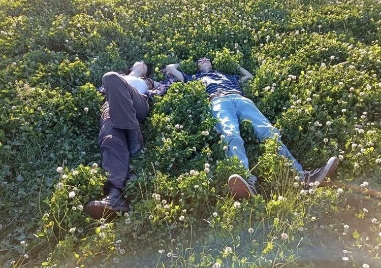 A group of people laying on top of a lush green field.