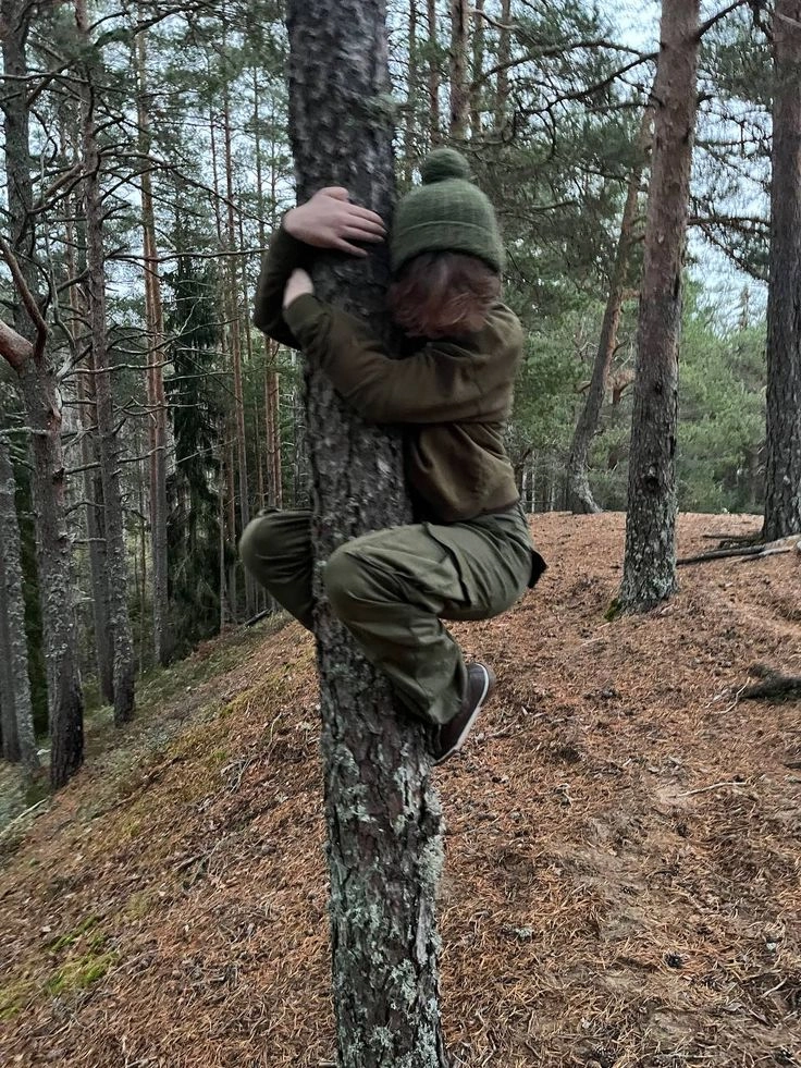 A man climbing up a tree in the woods.