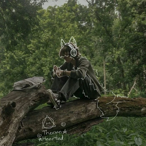 A man sitting on top of a log in the woods.