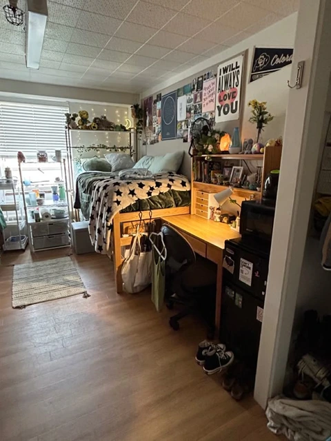 A room with a bed, desk and shelves in it.