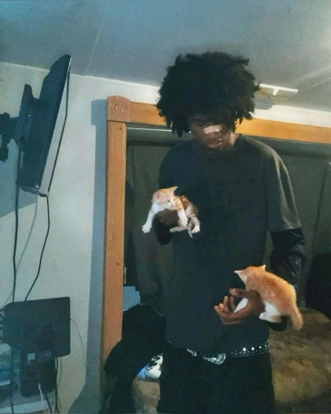 A man holding two cats in his hands.