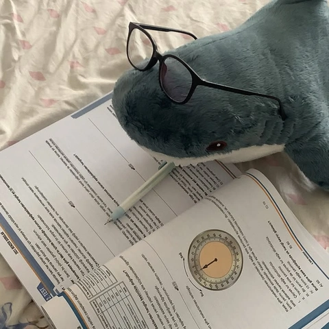 A stuffed animal wearing glasses sitting on top of a book.