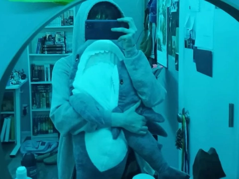 A person in a shark costume taking a picture of themselves.