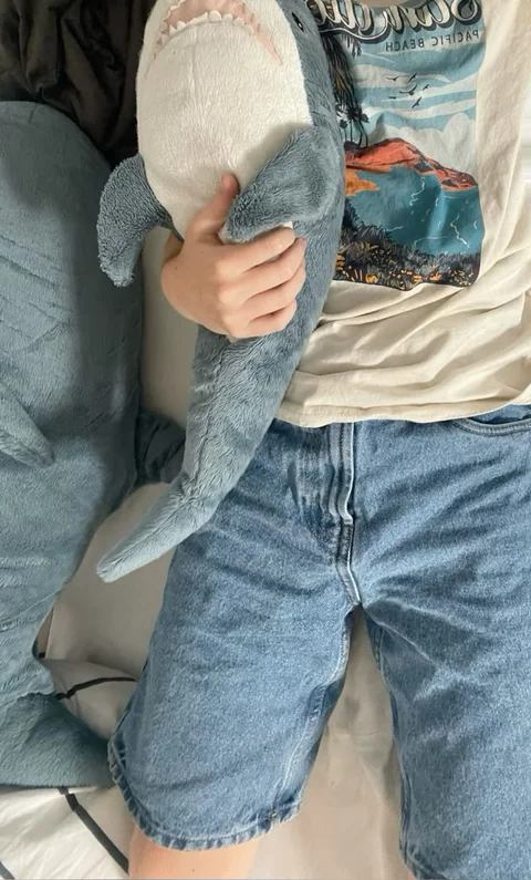 A person holding a stuffed shark in their hands.