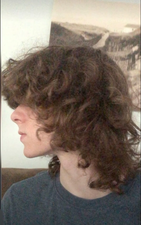 A young boy with curly hair is looking at the camera.